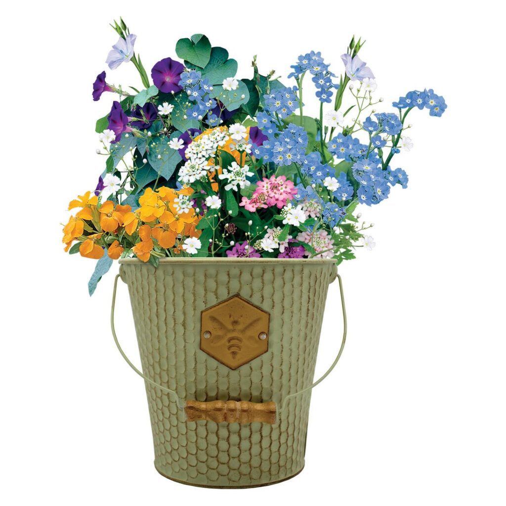 Bee Friends Honeycomb Wild Flower Seed Bucket 5055128622837